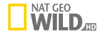 National Geo Wild HD