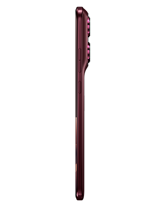 Telefon 2026_TERRAIN_ZINFANDEL_RIGHTSIDE